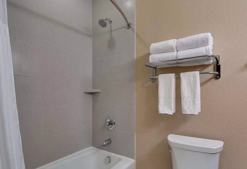 身障者適用スイートルーム, Best Western Plus Lake Jackson Inn & Suites