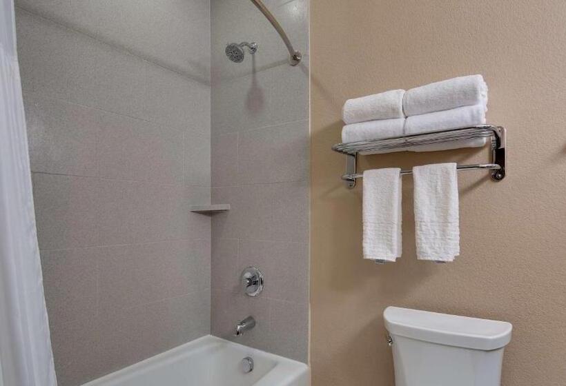 キングサイズベッドのスタンダードルーム, Best Western Plus Lake Jackson Inn & Suites