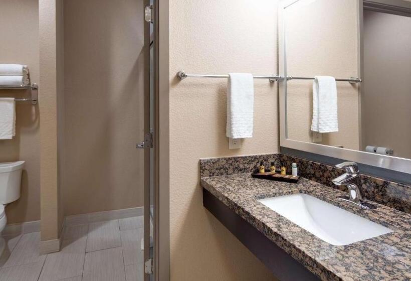 キングサイズベッドのスタンダードルーム, Best Western Plus Lake Jackson Inn & Suites