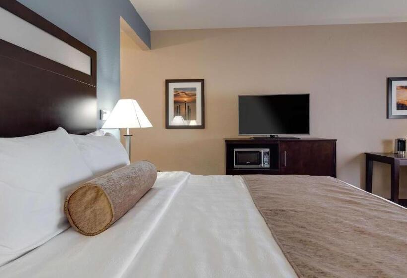 身障者適用キングサイズベッドルーム, Best Western Plus Lake Jackson Inn & Suites