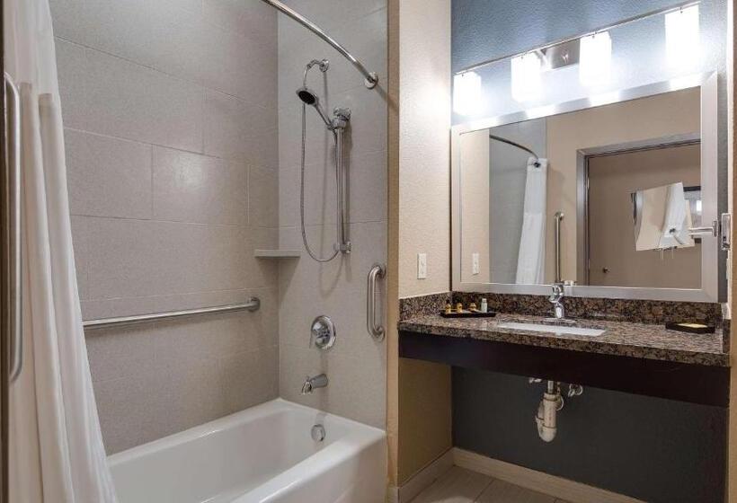 身障者適用スタンダードルーム, Best Western Plus Lake Jackson Inn & Suites