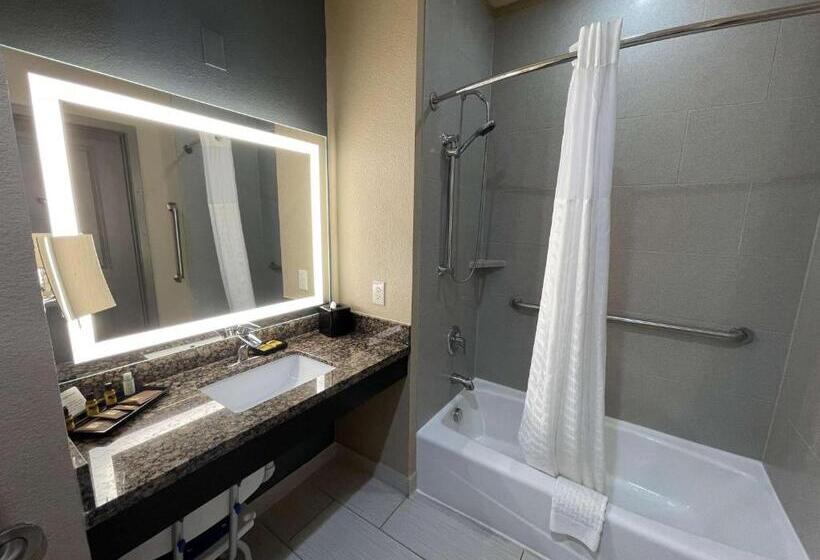 身障者適用スタンダードルーム, Best Western Plus Lake Jackson Inn & Suites