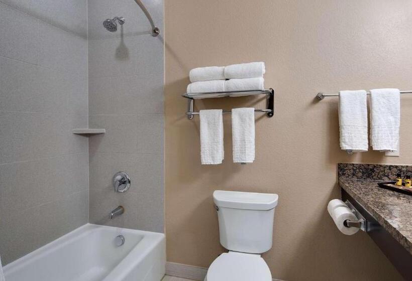 スタンダードルーム, Best Western Plus Lake Jackson Inn & Suites