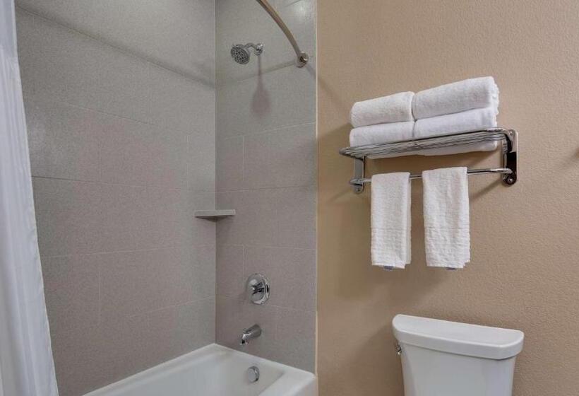 キングサイズベッドのスタンダードルーム, Best Western Plus Lake Jackson Inn & Suites