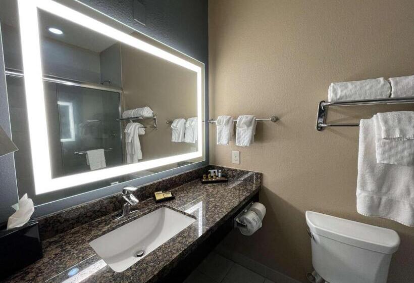 キングサイズベッドのスタンダードルーム, Best Western Plus Lake Jackson Inn & Suites