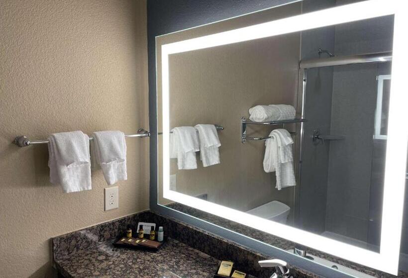 キングサイズベッドのスタンダードルーム, Best Western Plus Lake Jackson Inn & Suites