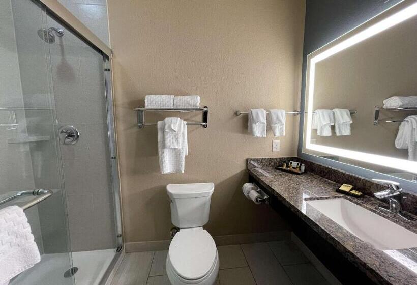 スイート, Best Western Plus Lake Jackson Inn & Suites