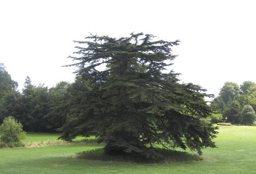 غرفة قياسية, Home Farm Boreham