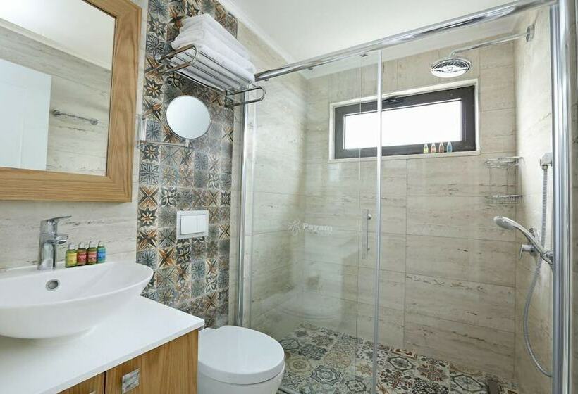 חדר סטנדרט, Payam