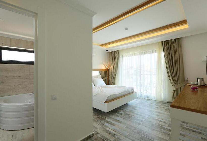 חדר סטנדרט, Payam