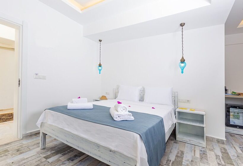 חדר סטנדרט, Payam