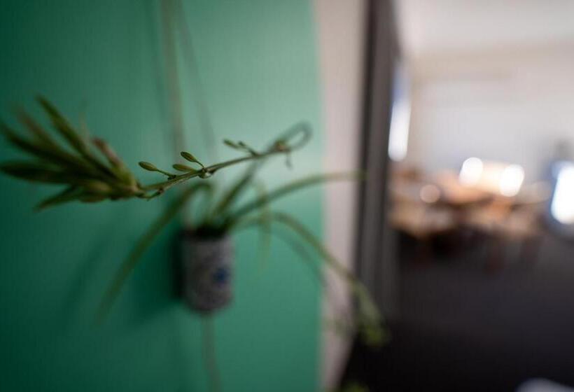 标准间, Parklane Motel