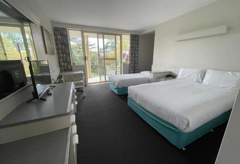 标准间带阳台, Parklane Motel