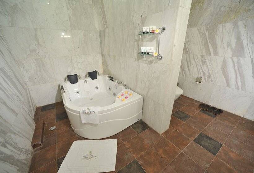 豪华套房, Palm Spring Resort & Spa