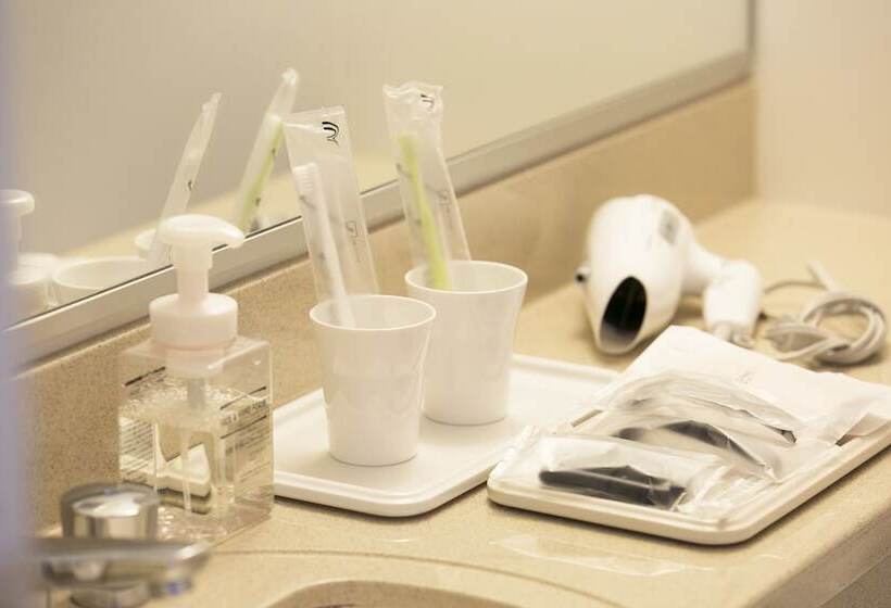 חדר סטנדרט, Nishitetsu Inn Kurosaki