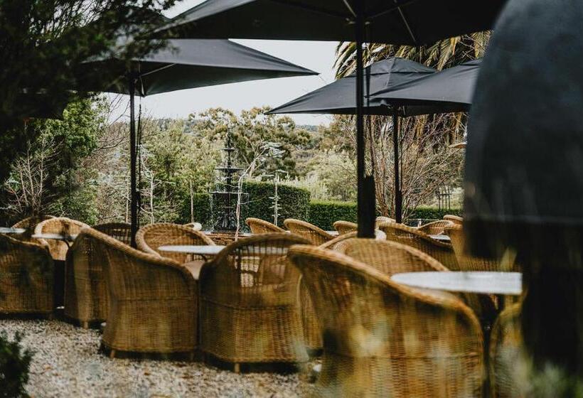 סוויטה, Bellinzona Daylesford