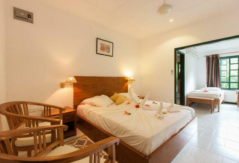 اتاق اکونومی, Pension Michel