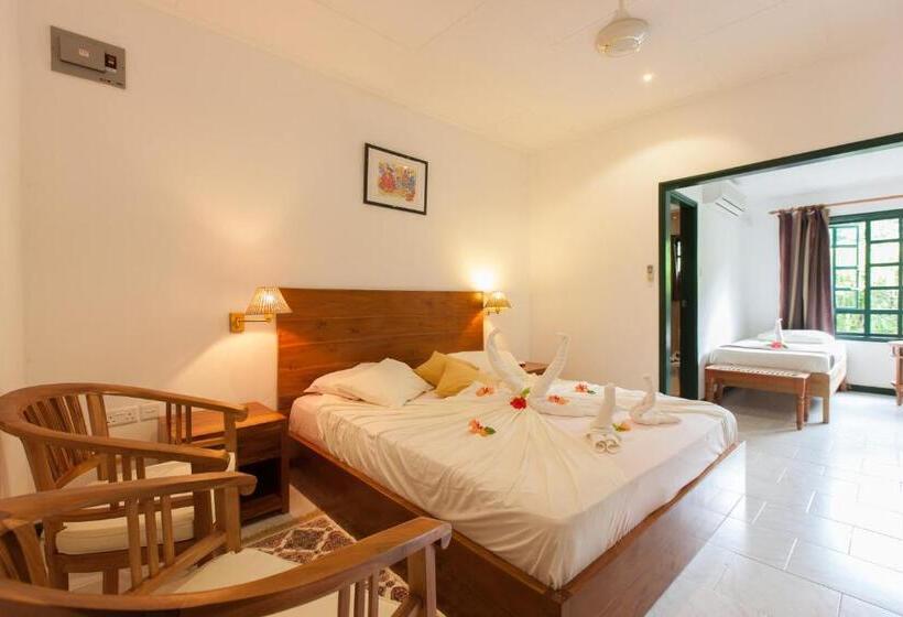 اتاق استاندارد سه نفره, Pension Michel