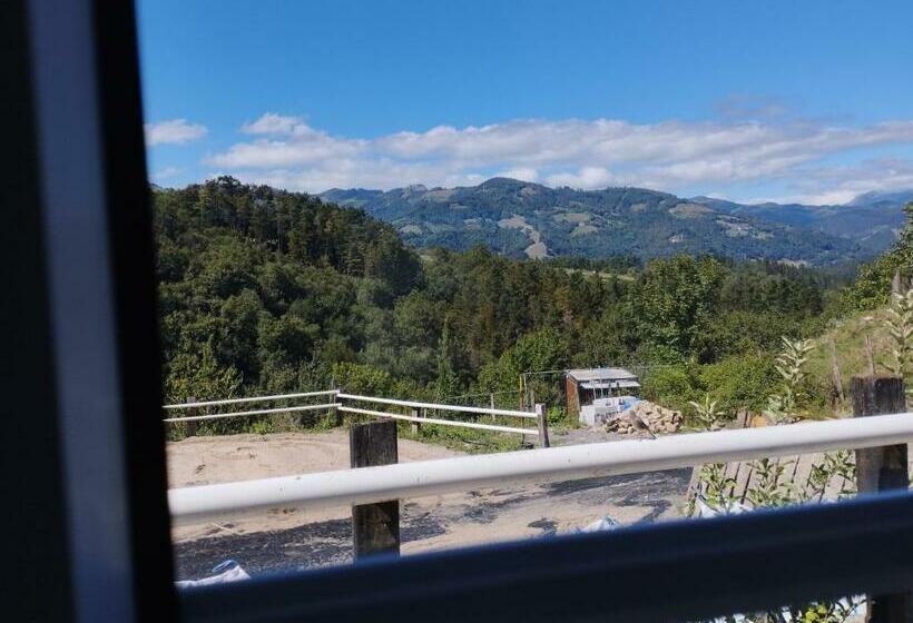 تختخواب در اتاق مشترک, Alarpe Aterpetxea Bss00035