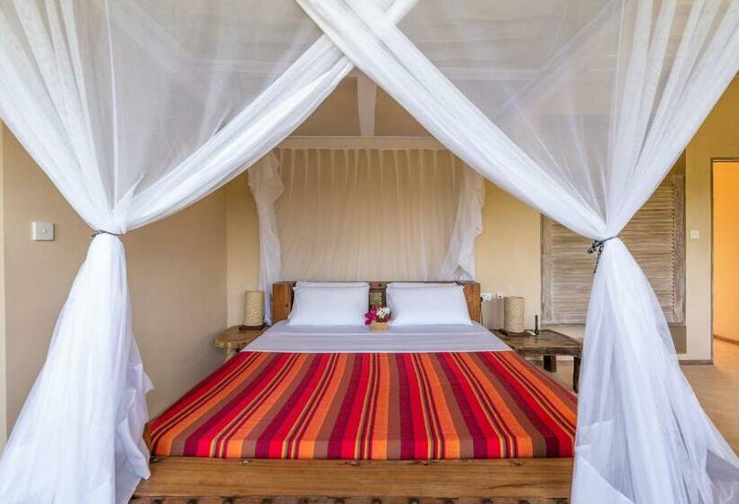 Cameră Standard, Tombo House