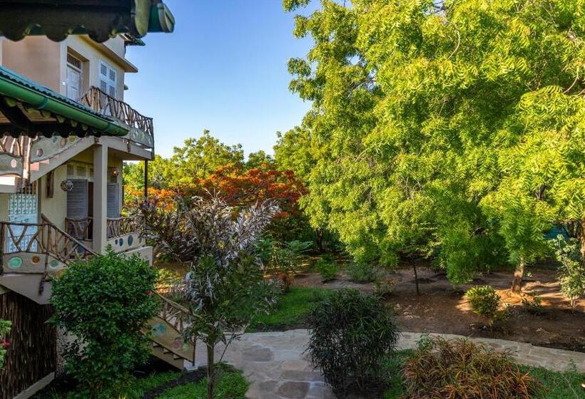 Cameră Standard, Tombo House