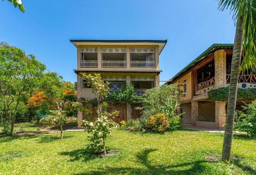 Suite Deluxe, Tombo House