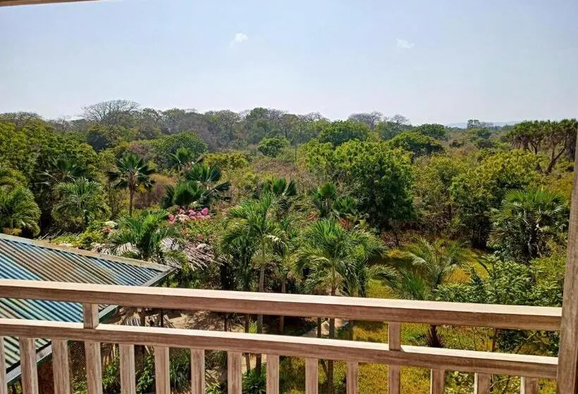 سوییت لوکس, Tombo House