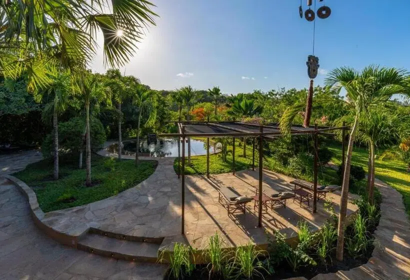 اتاق لوکس با بالکن, Tombo House