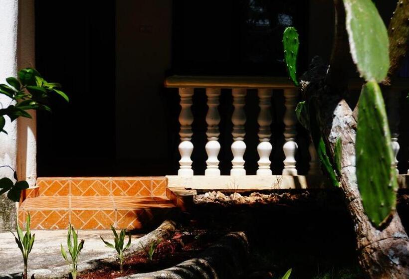 بانگلوی لوکس, Flower Garden Resort