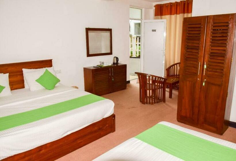 Quarto Triplo Estandar, Olive Ivory