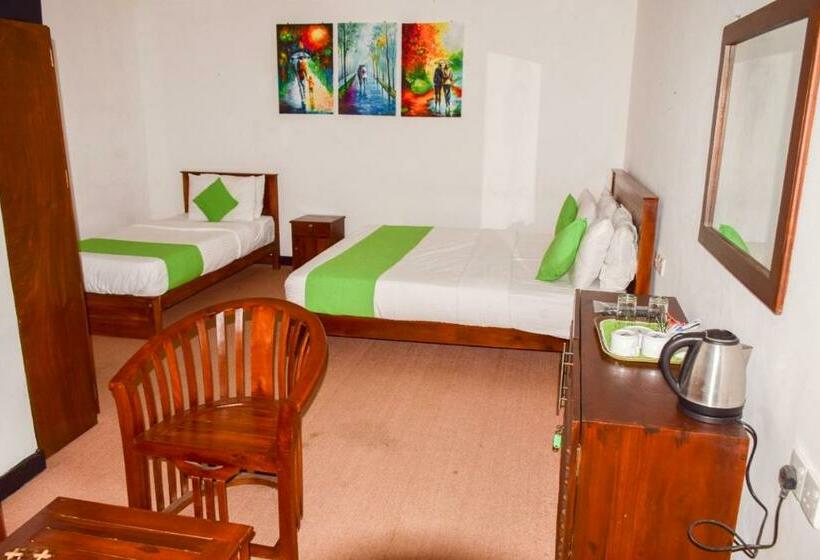 Quarto Triplo Estandar, Olive Ivory