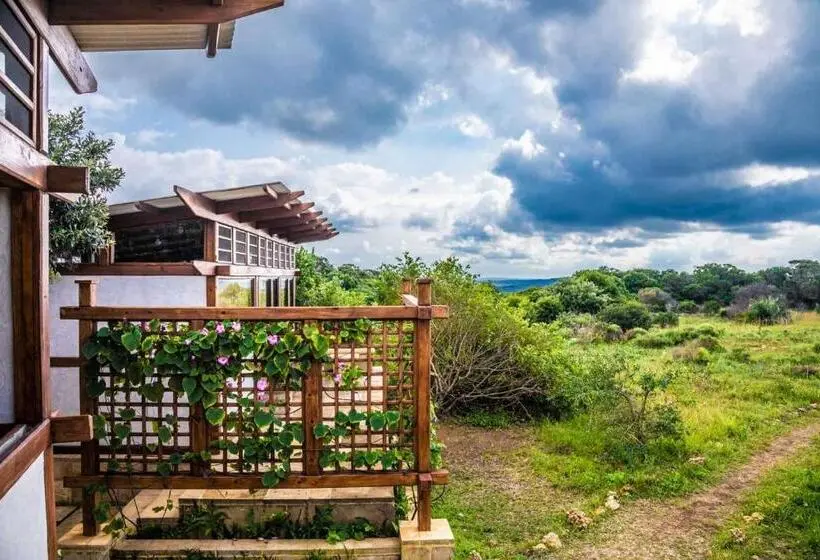 スタンダードルーム, Sky Island Resort