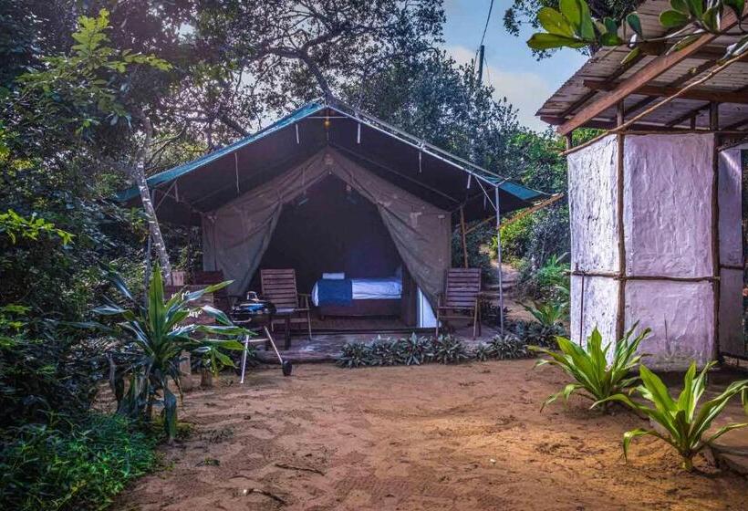 Deluxe Tent, Sky Island Resort