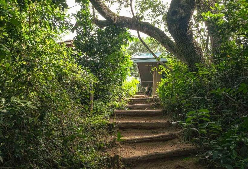 Deluxe Tent, Sky Island Resort