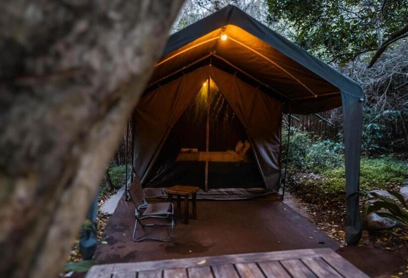 חדר דלוקס, Sky Island Resort