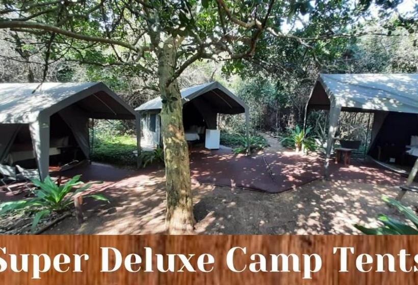 חדר דלוקס, Sky Island Resort