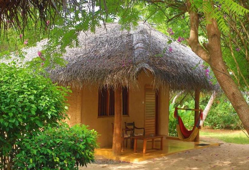 کابین, Shiva S Beach Cabanas