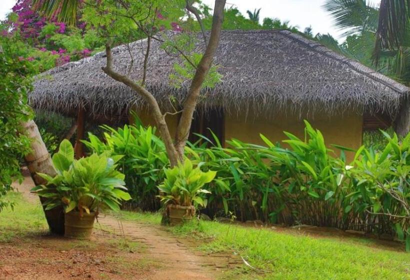 کابین, Shiva S Beach Cabanas