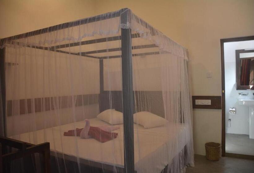 اتاق استاندارد, Shiva S Beach Cabanas