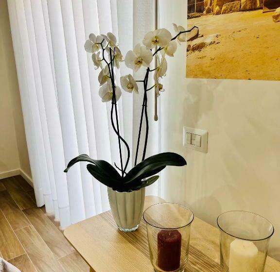 스탠다드 룸, Stabia Planet