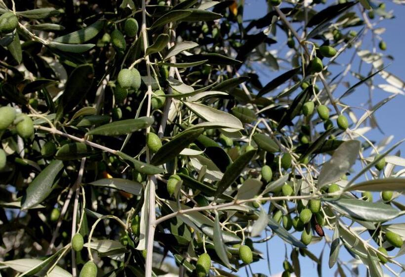 דירת חדר, Agricostella Agriturismo Vieste