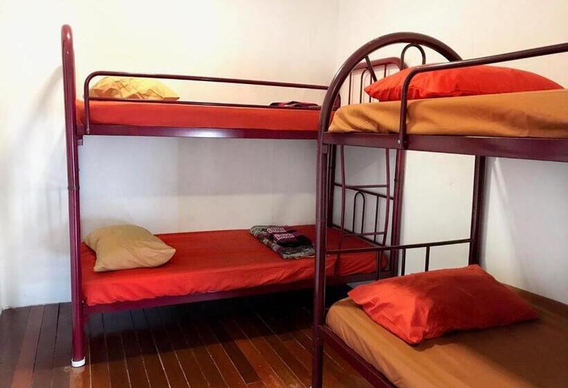 家庭房间共用浴室, Quiikcat