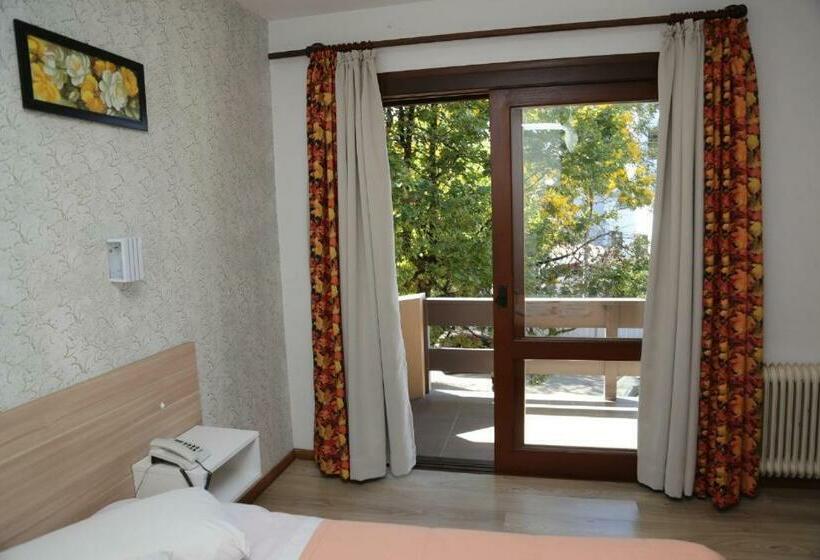 חדר סטנדרט, Alpen Hof