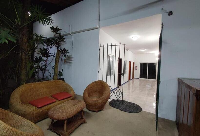 스탠다드 룸, Cañada Internacional