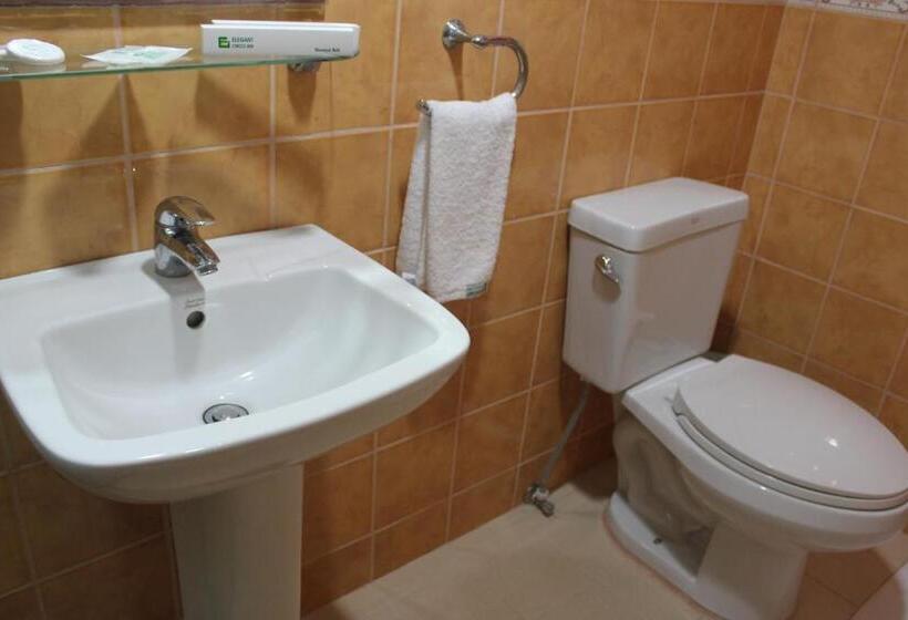 סוויטת ג'וניור, Elegant Circle Inn