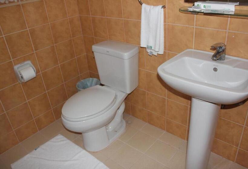 סוויטה אקזקיוטיב, Elegant Circle Inn