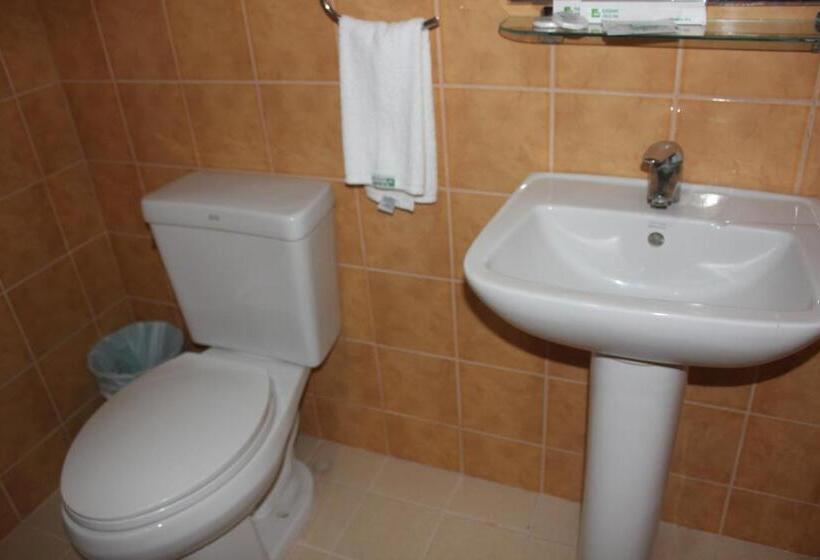 סוויטה אקזקיוטיב, Elegant Circle Inn