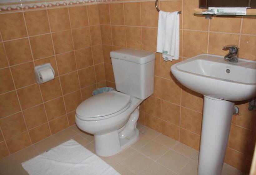 סוויטה אקזקיוטיב, Elegant Circle Inn