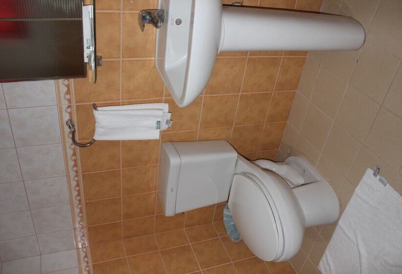 סוויטת ג'וניור, Elegant Circle Inn