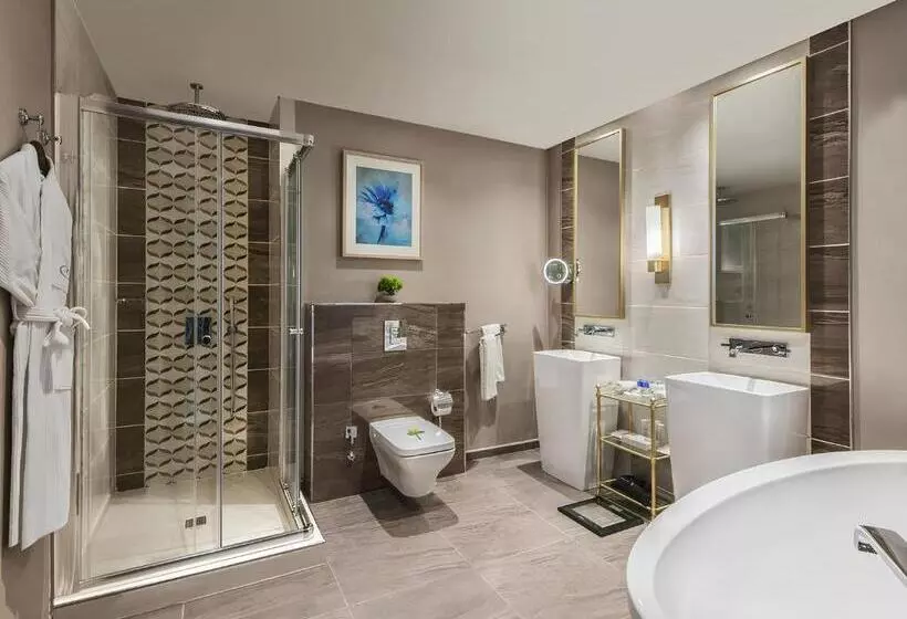 デラックスルーム, Elite World Grand Istanbul Basin Ekspres